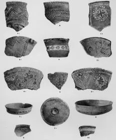 VARIOUS (SARVAS)