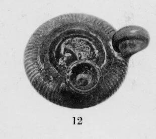 GUTTUS (CALENIAN, BLACK GLAZE)