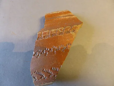 vase