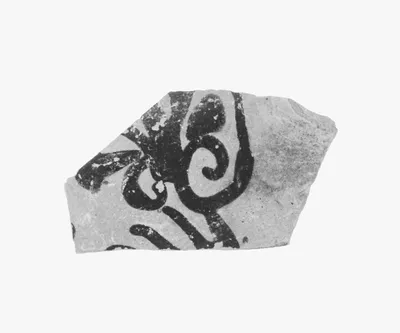 Attic Black-Figure Vase Fragment