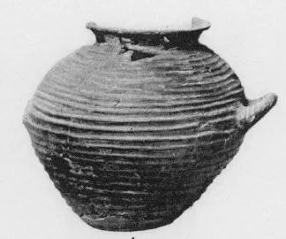 URN (VILLA NOVA)