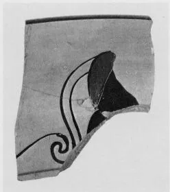 FRAGMENT (CHALCIDIAN, BLACK-FIGURE)