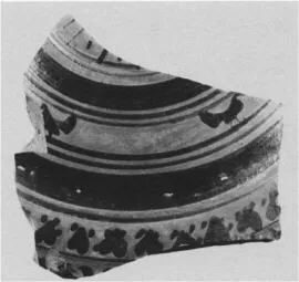 CUP DROOP, FRAGMENT (ATHENIAN, BLACK-FIGURE)