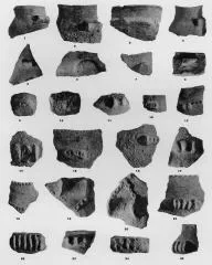 VARIOUS (VUCEDOL)