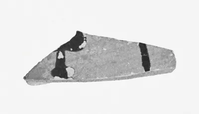 Attic Black-Figure Amphora Fragment
