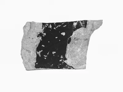 Attic Vase Fragment
