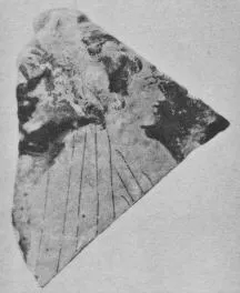 KRATER, BELL, FRAGMENT (ATHENIAN, RED-FIGURE)