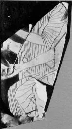 PLATE (ATHENIAN, RED-FIGURE)