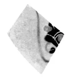 CUP, LITTLE MASTER, FRAGMENT (ATHENIAN, BLACK-FIGURE)