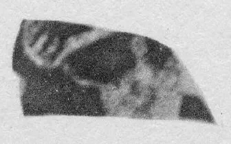 CUP, FRAGMENT (ATHENIAN, RED-FIGURE)