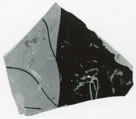 SKYPHOS, FRAGMENT (ATHENIAN, RED-FIGURE)