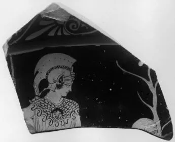 KRATER, CALYX (ATHENIAN, RED-FIGURE)