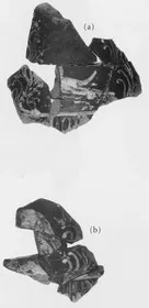 PELIKE, FRAGMENTS (SOUTH ITALIAN, GNATHIAN, BLACK GLAZE)