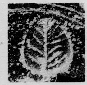 CUP, STEMLESS, FRAGMENT (SOUTH ITALIAN, CAMPANIAN, RELIEF)