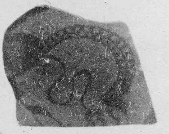 CUP, FRAGMENT (ATHENIAN, RED-FIGURE)