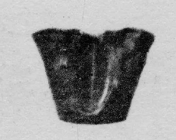 DOUBLE VASE (ITALIOTE, BLACK GLAZE)