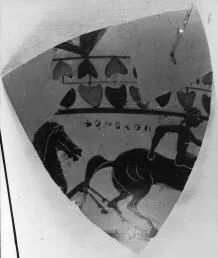AMPHORA, NECK, FRAGMENTS (ATHENIAN, BLACK-FIGURE)
