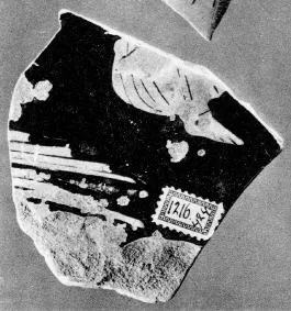 FRAGMENT (ATHENIAN, RED-FIGURE)