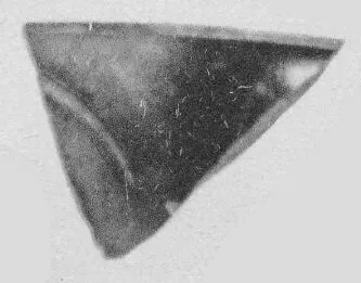 CUP, FRAGMENTS (ATHENIAN, RED-FIGURE)