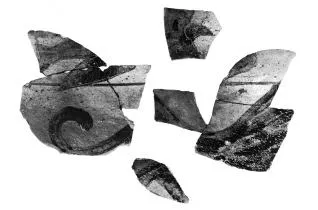 OINOCHOE, FRAGMENTS (AEGINETAN, BLACK-FIGURE)