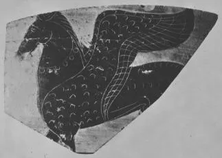 AMPHORA, BELLY, FRAGMENT (ETRUSCAN, BLACK-FIGURE)