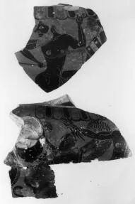 KRATER, COLUMN, FRAGMENTS (ATHENIAN, BLACK-FIGURE)