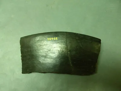 plat ; fragment
