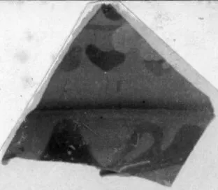 CUP, SIANA, FRAGMENT (ATHENIAN, BLACK-FIGURE)