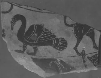 FRAGMENT (ATHENIAN, BLACK-FIGURE)