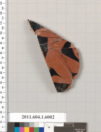 Terracotta fragment of a kylix (drinking cup)