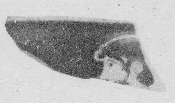 CUP, FRAGMENT (ATHENIAN, RED-FIGURE)