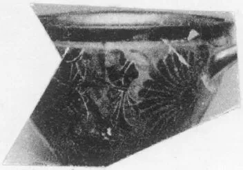 SKYPHOS (ATHENIAN, BLACK-FIGURE)