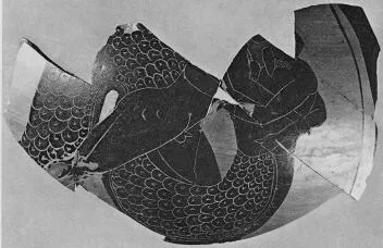 AMPHORA, BELLY, FRAGMENT (ATHENIAN, BLACK-FIGURE)
