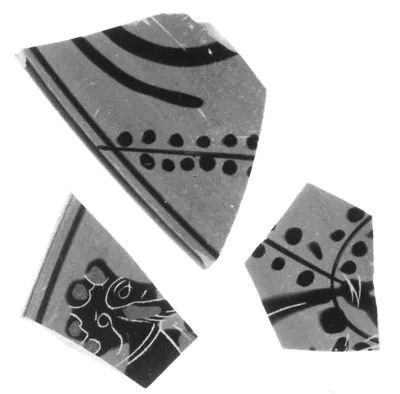 Attic Black-Figure Eye Cup Fragments