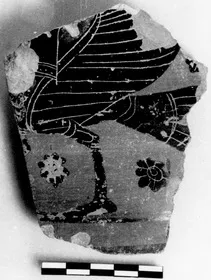 AMPHORA, BELLY, FRAGMENT (ATHENIAN, BLACK-FIGURE)