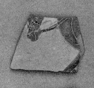 AMPHORA, NECK, FRAGMENT (EAST GREEK, CLAZOMENIAN, BLACK-FIGURE)
