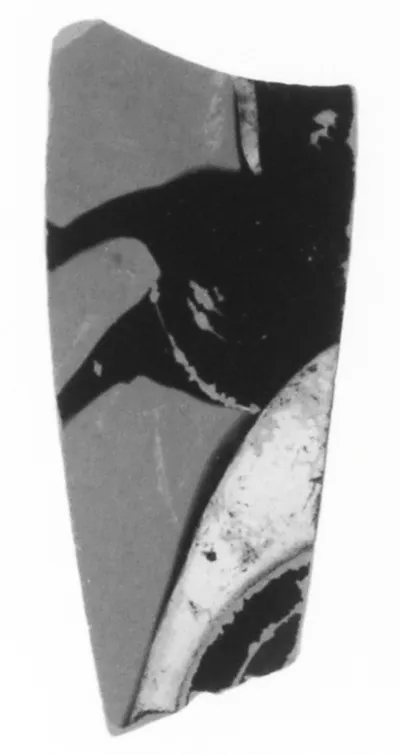 Attic Black-Figure Eye Cup Fragment