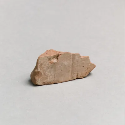 Vase fragment