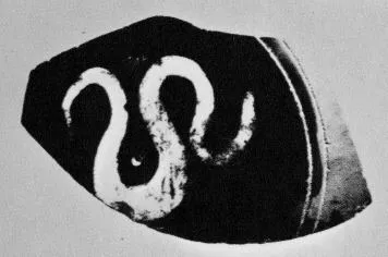 OINOCHOE, FRAGMENT (ATHENIAN, BLACK-FIGURE)