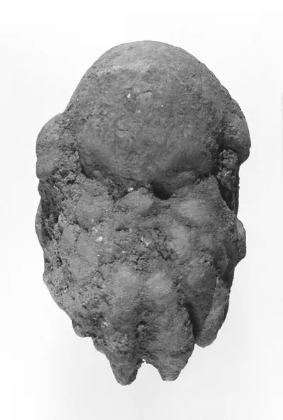 Head of a Comic Actor
