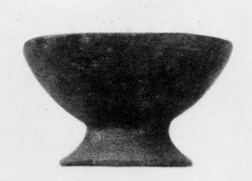 CUP (VEIAN)