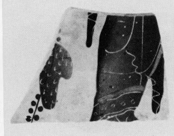 AMPHORA, NECK (?), FRAGMENT (ATHENIAN, BLACK-FIGURE)