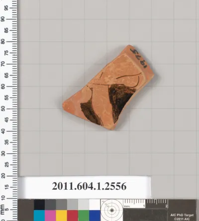 Terracotta fragment of a kylix (drinking cup)