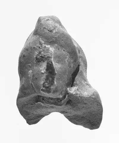 Female Head