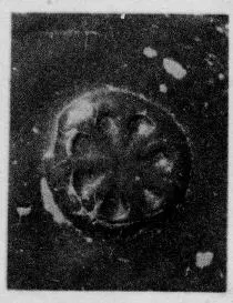 CUP, STEMLESS, FRAGMENT (SOUTH ITALIAN, CAMPANIAN, RELIEF)