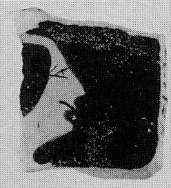 SKYPHOS, FRAGMENT (ATHENIAN, RED-FIGURE)