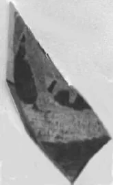 CUP, FRAGMENT (ATHENIAN, RED-FIGURE)