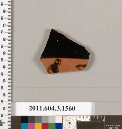 Terracotta fragment of a kylix: Band cup (drinking cup)