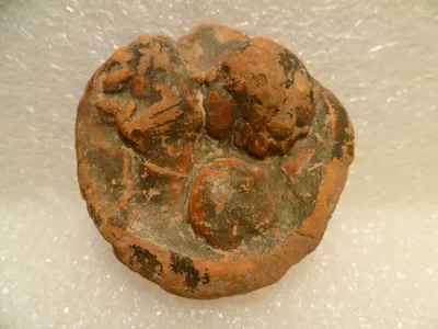 patère