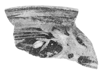Etruscan Black-Figure Vase Fragment